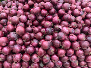 Many purple onions in bulk.
