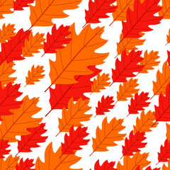 Naklejka na ściany i meble Red oak autumn leaves seamless background on white background. Vector illustration.
