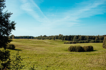 landscape with trees and blue sky