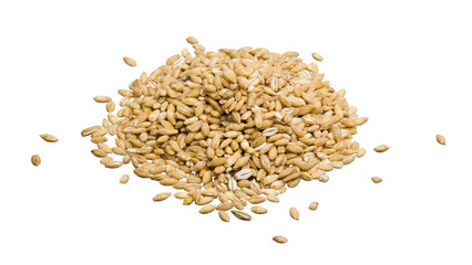 pile of oats on white isolated background