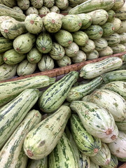 A group of italian zucchini