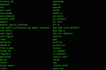 Computer command line black background and green text. shell command connects the store server in the network. The command line typing in the terminal on the pc.