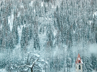 Winter landscape with snow covered trees in the Alps. Snowy natural background with a church in Italia. Mountain, forest, alpine village.