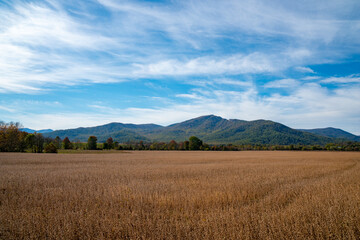 Field in Fall looking out to Old Rag mountain in the distance