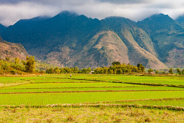 Obraz premium trip trough the north of Vietnam from Hanoi to the mountain village Sapa