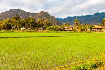 trip trough the north of Vietnam from Hanoi to the mountain village Sapa