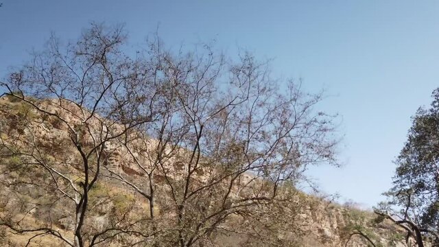 Travelling Shot of Cliffs Through Trees at Ranthambore National Park, Rajasthan, India