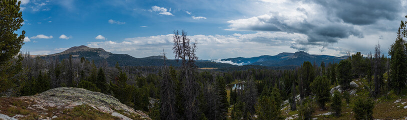 Mountain forest valley landscape panorama