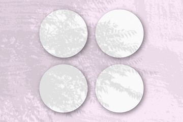 Natural light casts shadows from an exotic planton 4 round sheets of white textured paper