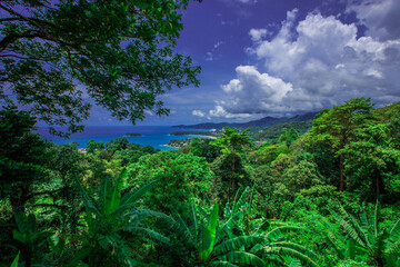 Natural high angle panoramic background With an atmosphere surrounded by mountains and trees, with a blurred wind, cool