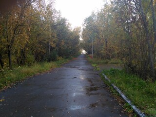 autumn path at sunset landscape in the Park