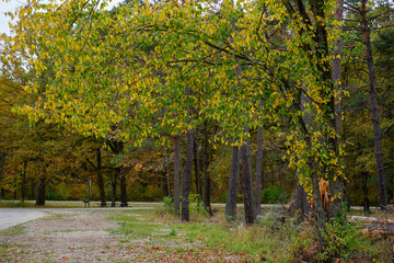 Naklejka premium Yellow Creek State Park located in Western Pennsylvania. Colorful fall evening.