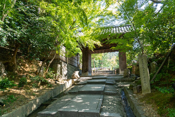 京都　高台寺