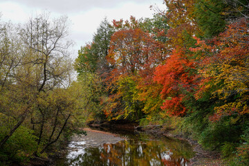 Obraz premium Beautiful fall evening at a Pennsylvania state park. Fall foliage. Water stream with bright autumn trees hanging over the water.