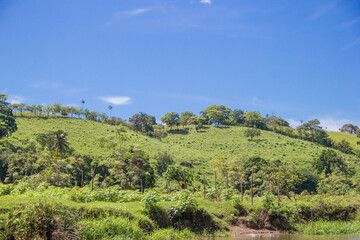 Fototapeta na wymiar Verdes montañas con altos arboles, cielo azul, paisaje natural, vida de campo, vida en la naturaleza