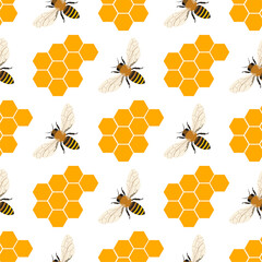 honey bee and honeycomb