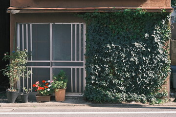 front of old house with flowers and vines