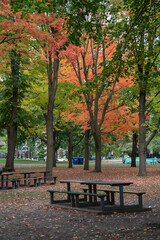Fototapeta premium A Bench for relax around beautiful autumn leaves at the High Park in Toronto Ontario Canada