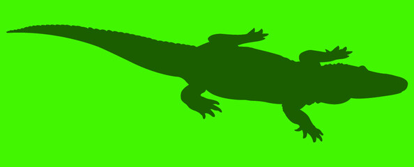 silhouette of a alligator