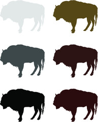 bison silhouette collection