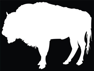 silhouette of a bison