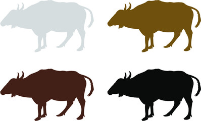 animals collection of a cattle