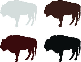 set of bison
