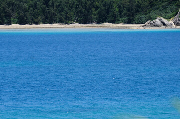 南の島の青い海