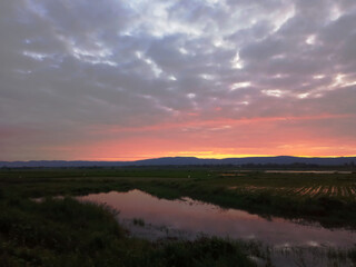 The sunrise in the morning