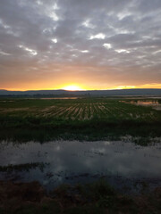 The sunrise in the morning