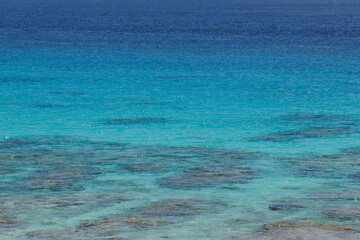 南の島の青い海