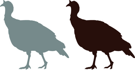 silhouette of a turkey