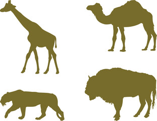 illustration of a wild animals silhouette