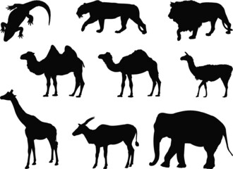 set of wild animals silhouettes