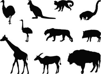 set of wild animals silhouettes