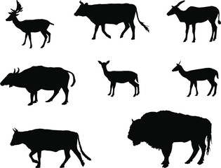 wild animals silhouettes