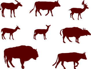 wild animals vector