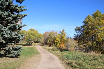 Fototapeta na wymiar Going Down The Trail, Dawson Park, Edmonton, Alberta