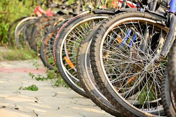 A row of A row of bicycles are parked beside road. View of back wheels and tires. beside road. View of back wheels and tires.