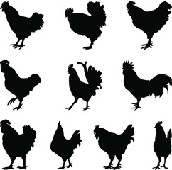 set of rooster silhouettes