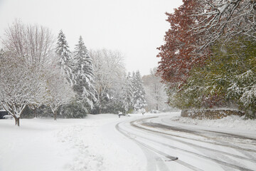 Winding road during a very early snowstorm with trees still turning color