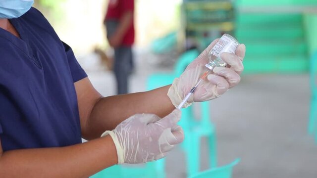 A veterinarian prepares to inject anti-rabies vaccine to a dog.