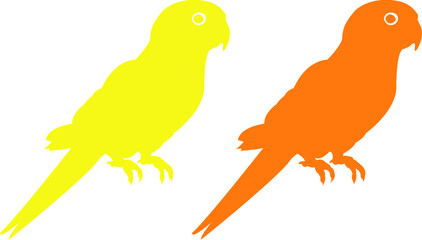 illustration of a parrot bird