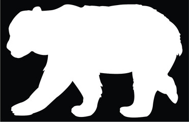 silhouette of polar bear