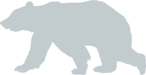 silhouette of a bear