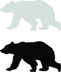 Obraz na płótnie Canvas silhouette of a polar bear