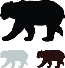 silhouette of bear