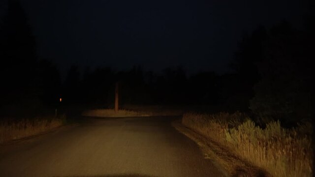 A night drive in the early twilight morning. Creepy Halloween vibes.