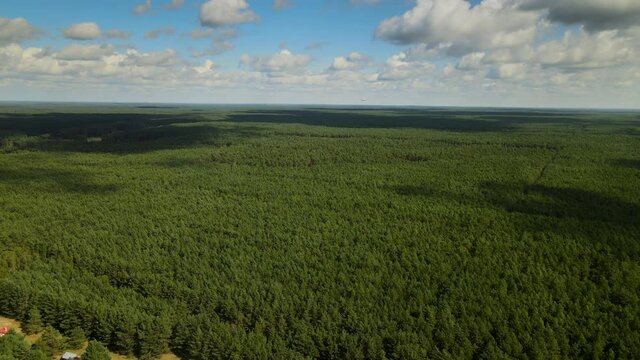 Aerial - Flying over the endless dense green forest on a cloudy day in Kowalskie Blota, Poland, daytime, backward movement 