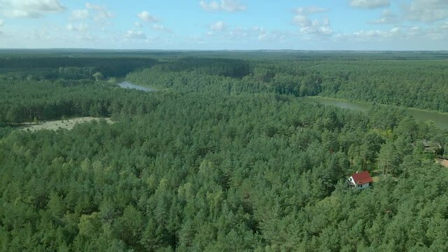 Aerial fly up - Drone slowly rise over evergreen pine tree crowns ad lake at Kowalskie Blota, Poland